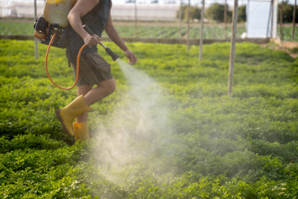 Best Ant Control Services  in Greenville, DE