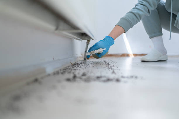 Best Wasp Removal Services  in Greenville, DE